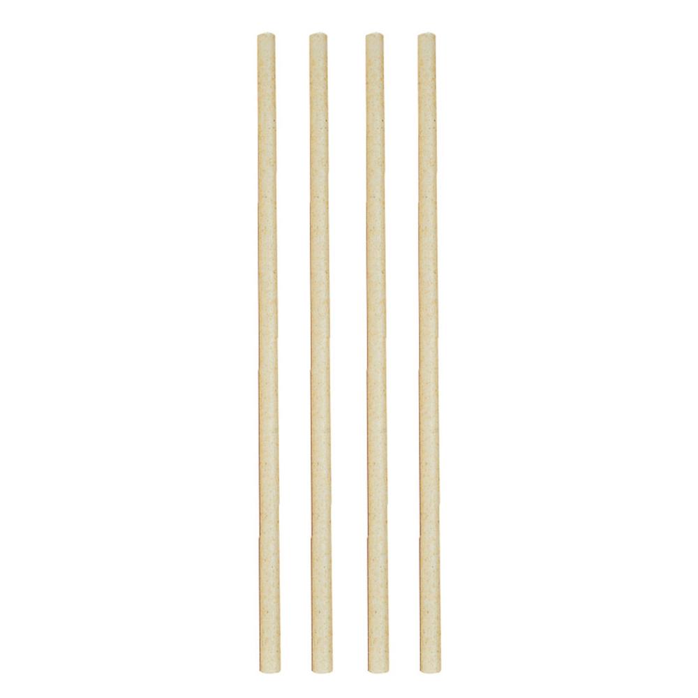 Avanti Sugar Cane Straws, Set of 50 - 23cm, 9313803149311