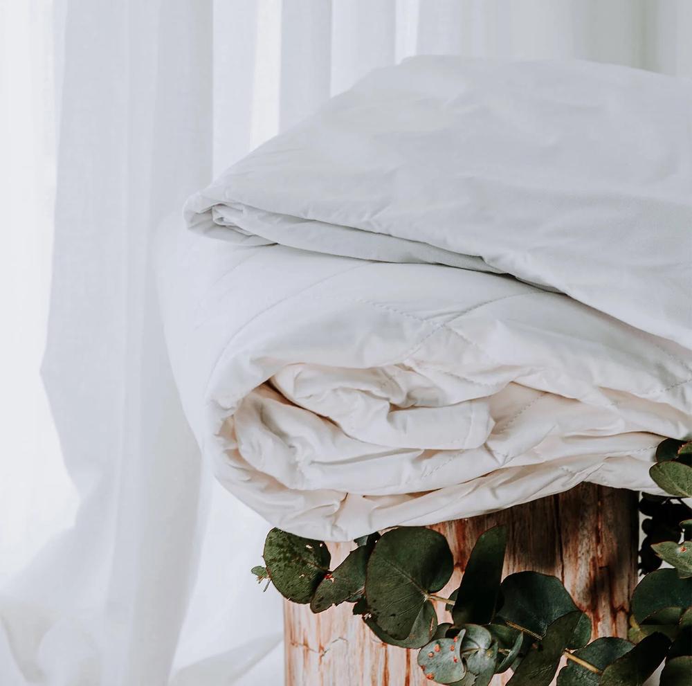 Bambi Health Assurance Cotton Mattress Protector Set - King SIngle, 9313865122529