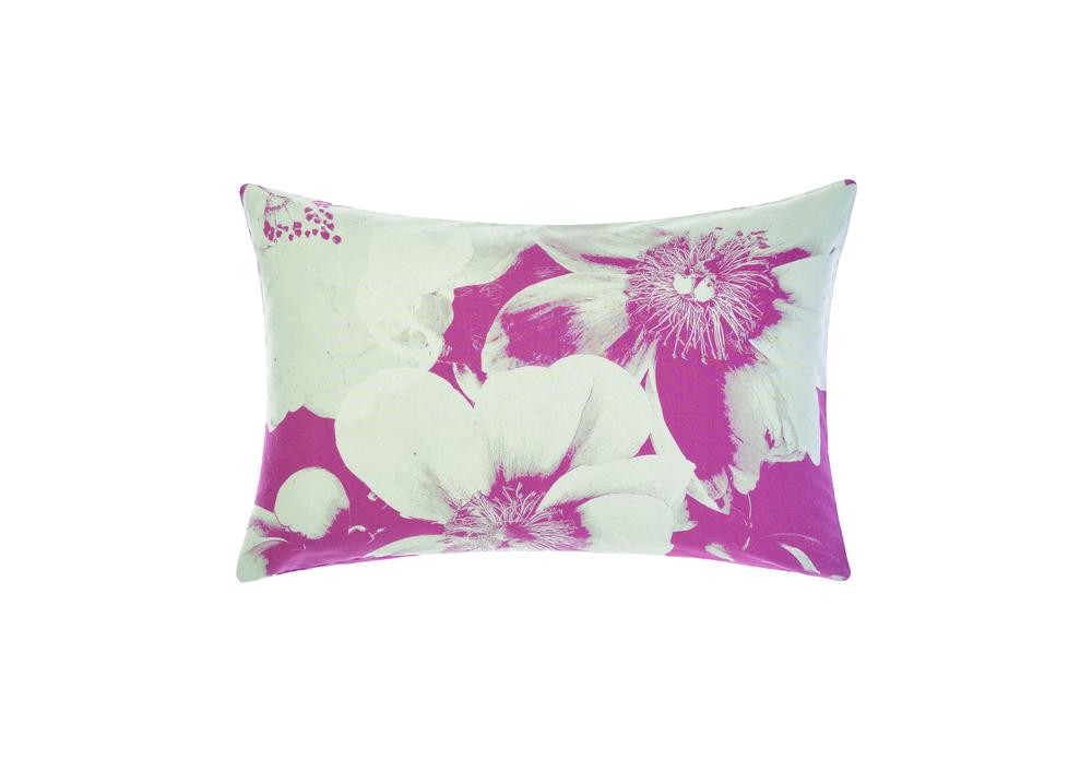 Linen House Julieta Filled Cushion (Arctic) 40x60cm Buy online at