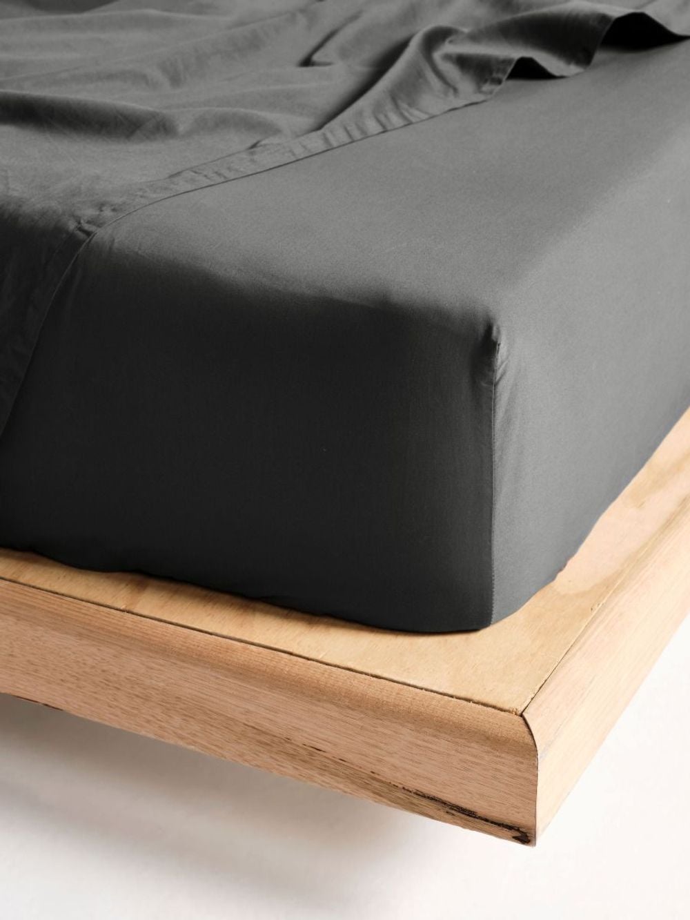 Linen House Augusta Fitted Sheet (Magnet) - Queen by Linen House - ISBN: 9317146539723