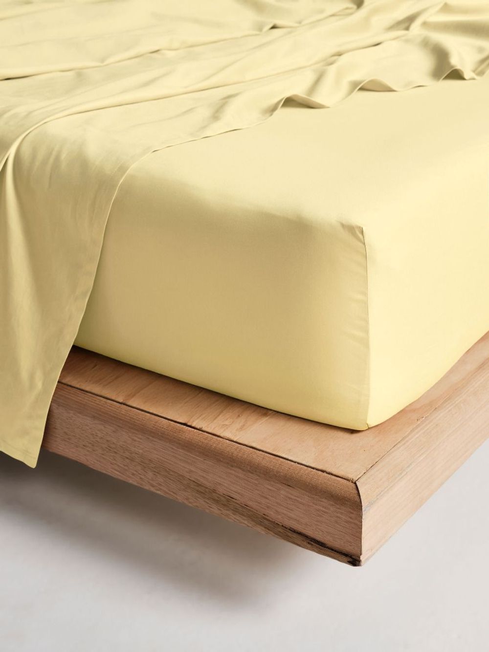 Linen House Augusta Fitted Sheet (Daffodil) - Long Single by Linen House - ISBN: 9317146573062