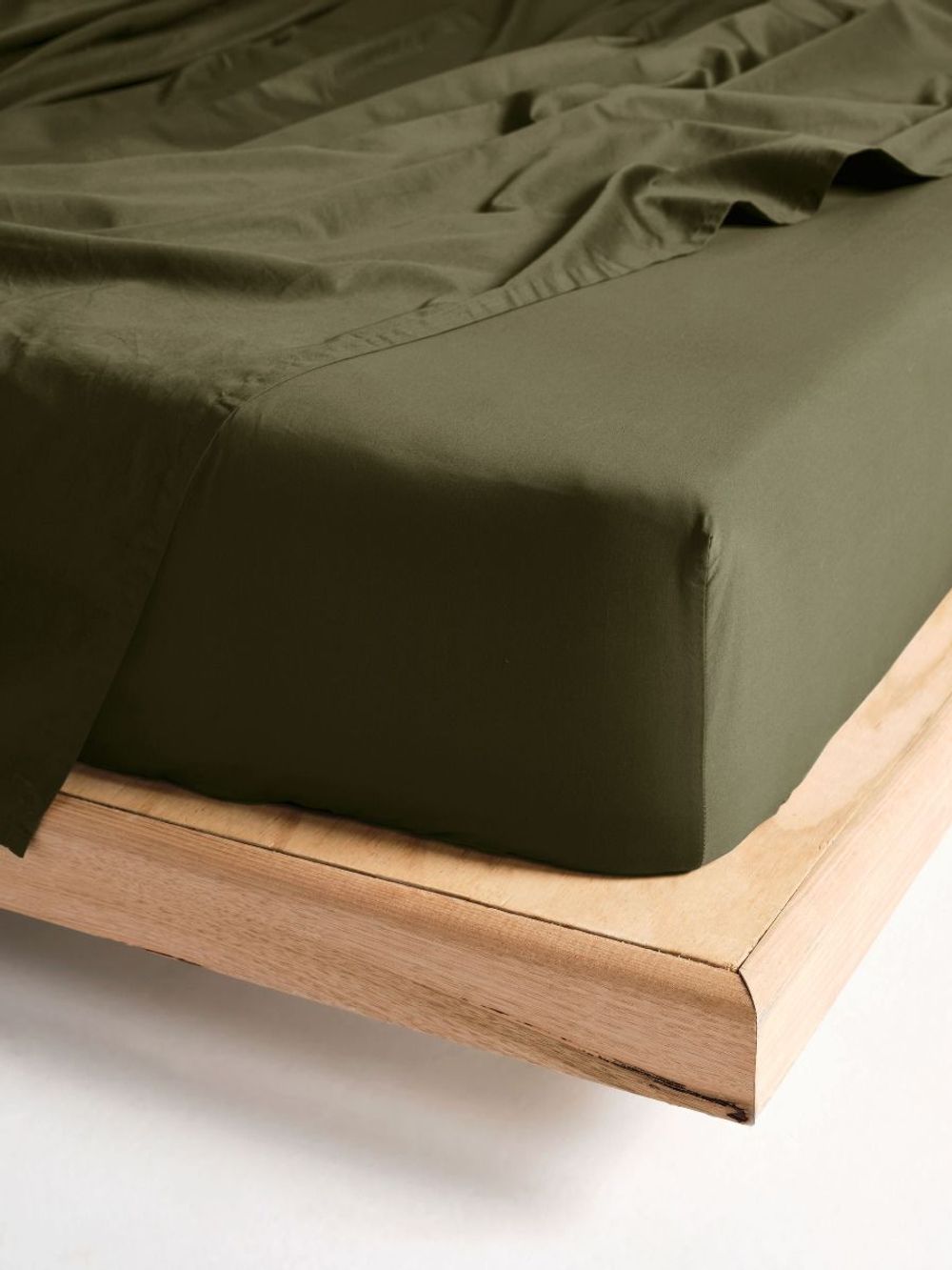 Linen House Augusta Fitted Sheet (Olive) - Queen by Linen House - ISBN: 9317146573550