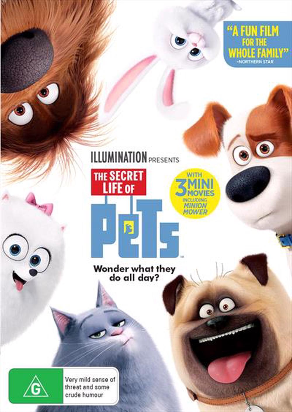 where to buy the secret life of pets movie