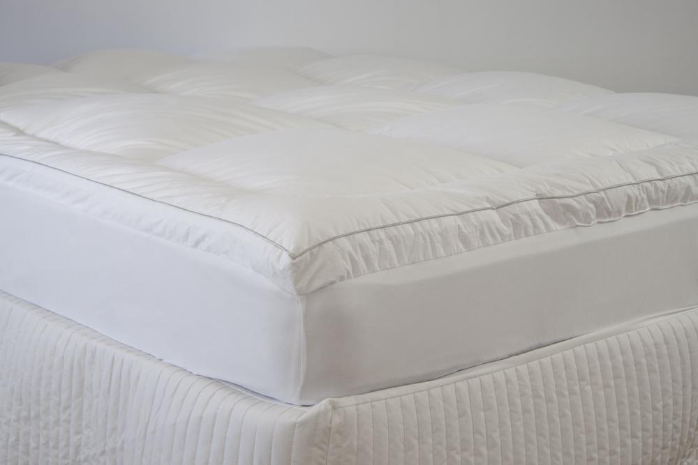 ardor high loft mattress topper harris scarfe