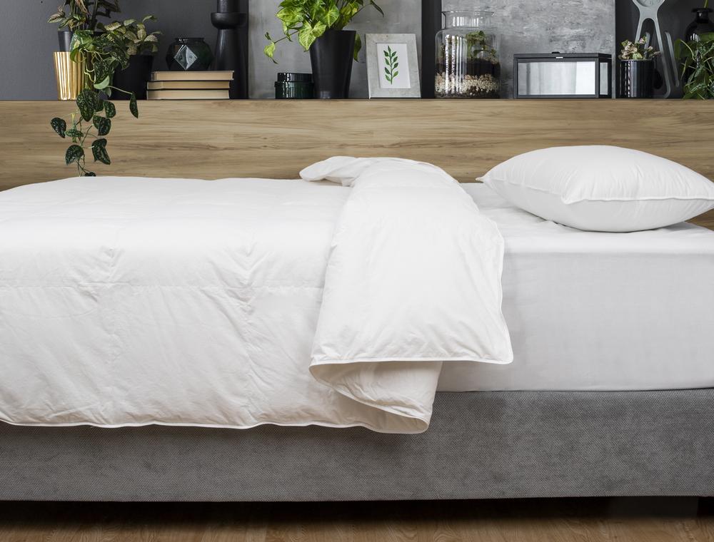 Ardor Duck Down & Feather Quilt Queen Buy online at The Nile