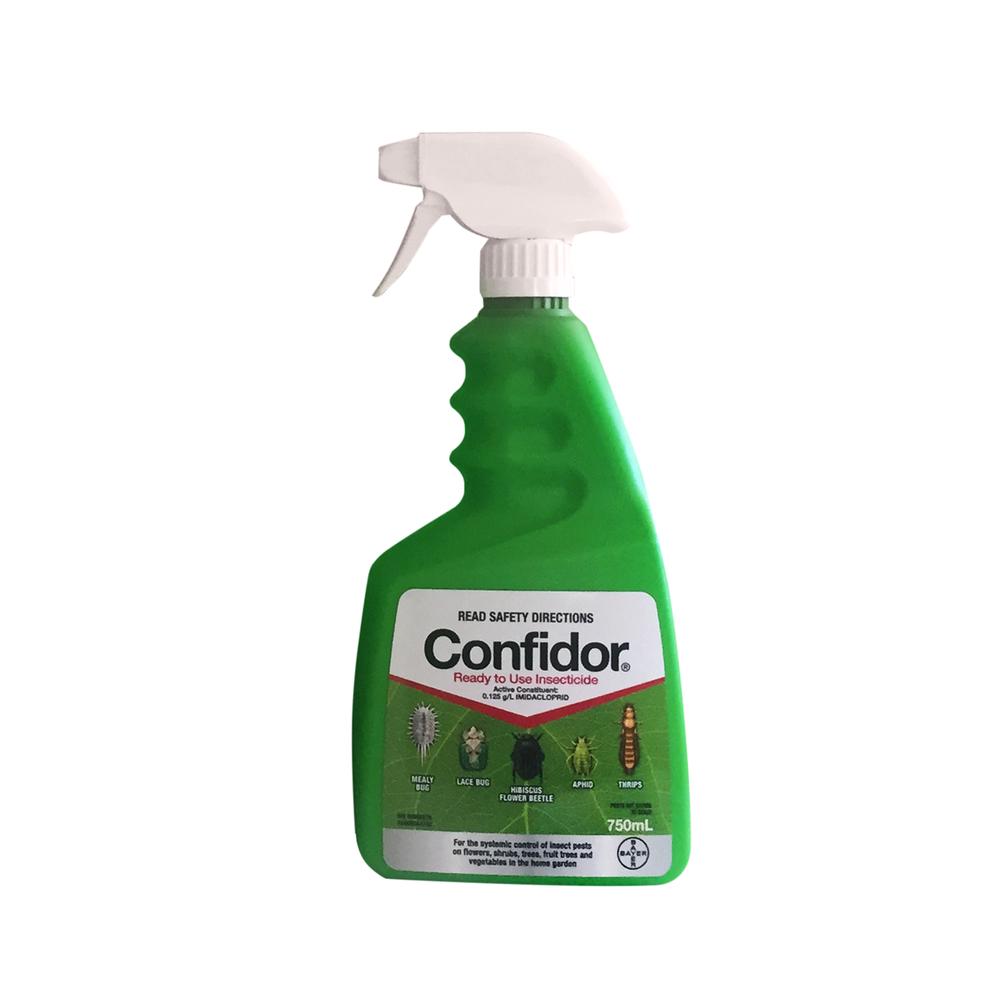 where to buy confidor spray