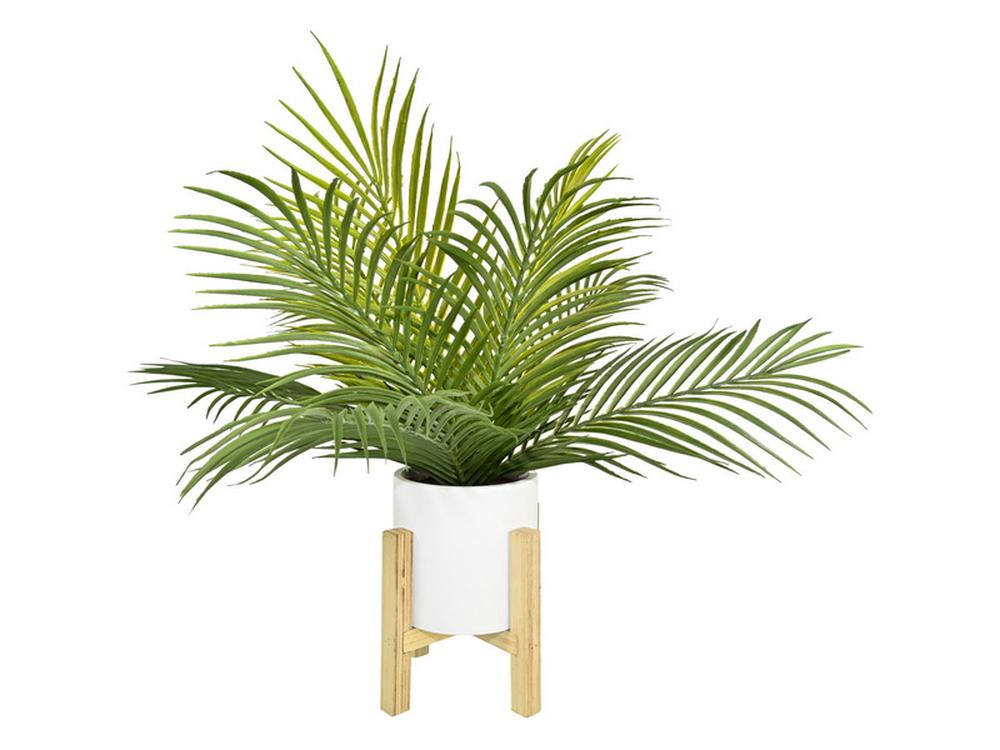 Fern In White Pot On Stand, 9319844634892