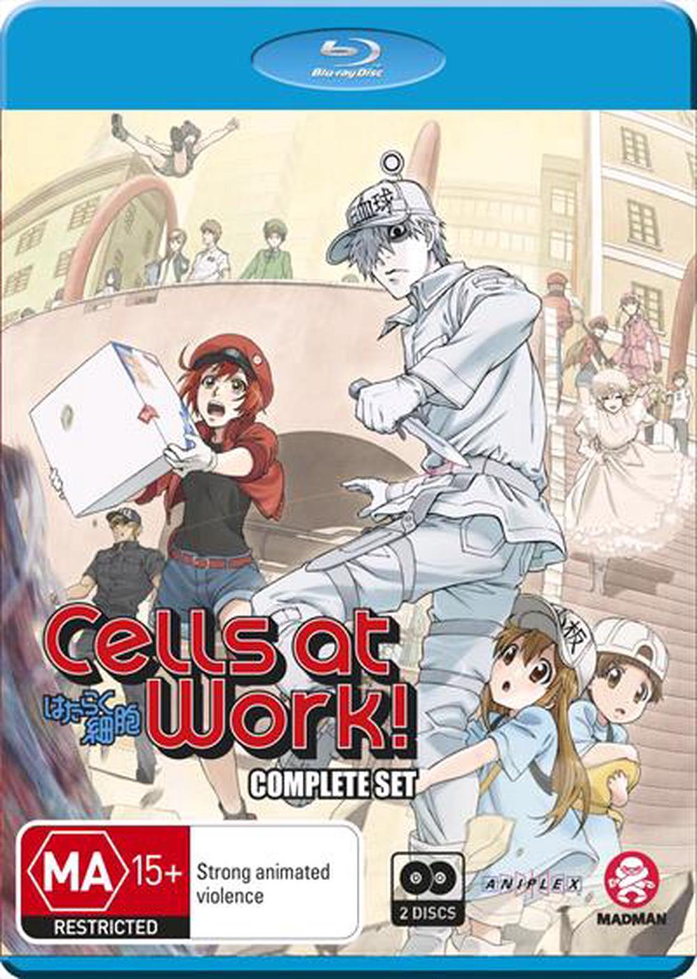 Cells At Work!: Season 1: Eps 1-13 | + Special, Blu-Ray | Buy online at