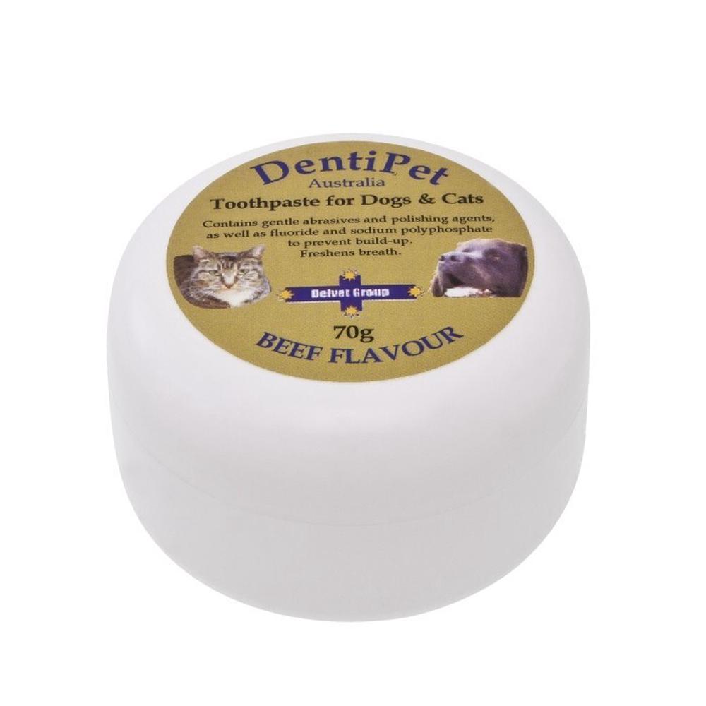 Dentipet Toothpaste for Your Cat or Dog (Beef), 9322387003070