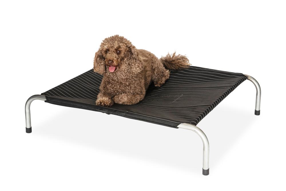Superior Pet Essentials Heavy Duty Flea Free Pinstripe Raised Dog Bed