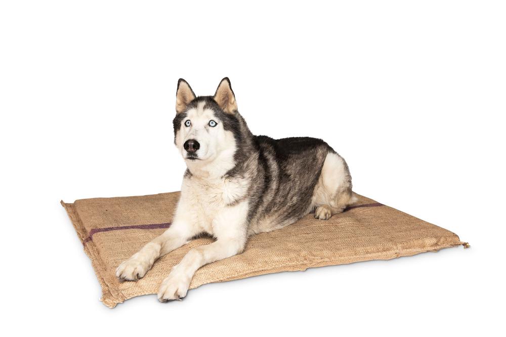 Hessian Foam Dog Mat, 9329988001207