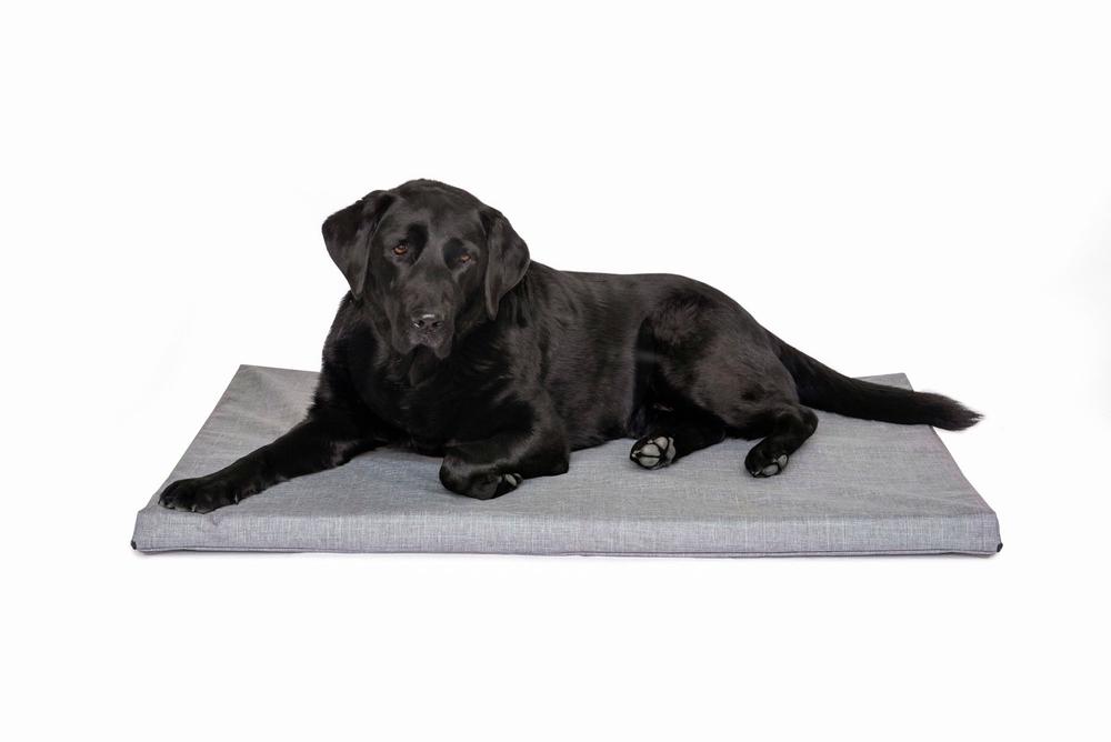 Twilled Canvas Dog Mat (Mid Grey), 9329988005861