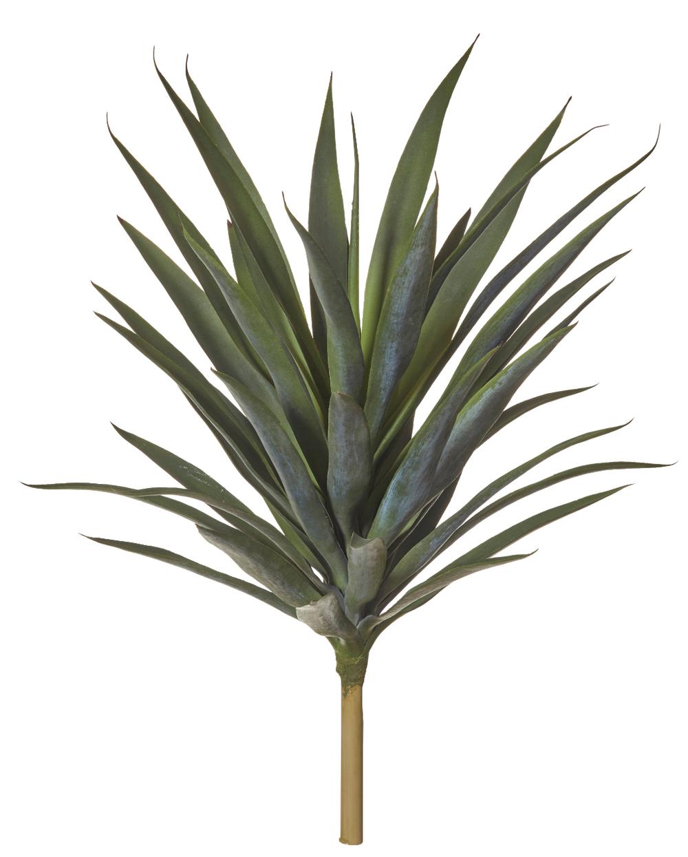 Rogue Yucca Plant (Green) - 50x50x72cm, 9331460297640