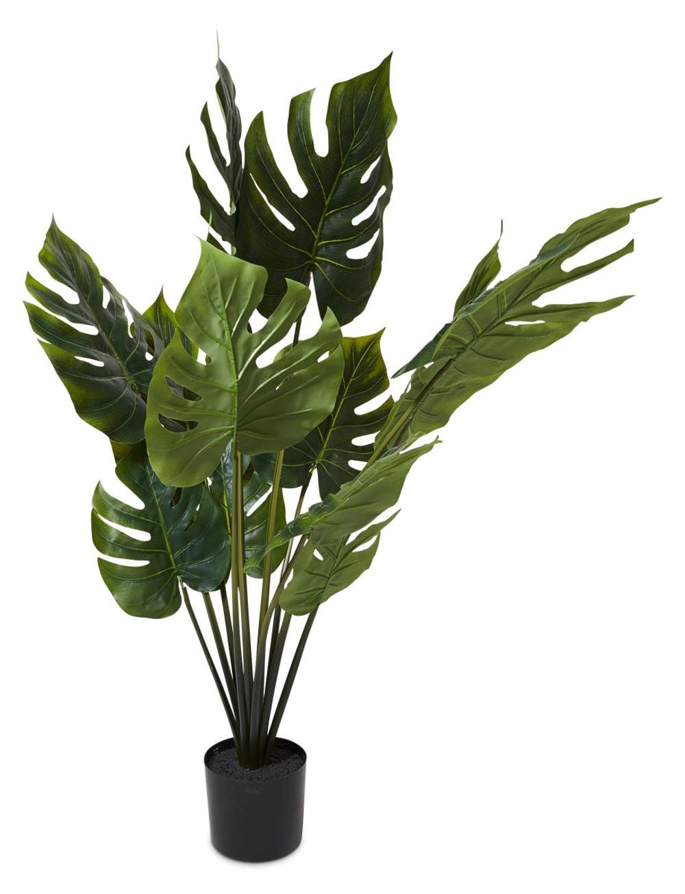 HG Living Grand Split Philo Bush in Plastic Pot (Green) - 81cm by HG Living - ISBN: 9332092117016