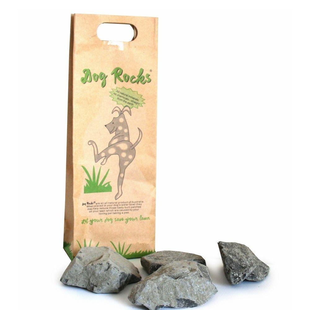 Natural Lawn Protector - 600g, 9335986000043