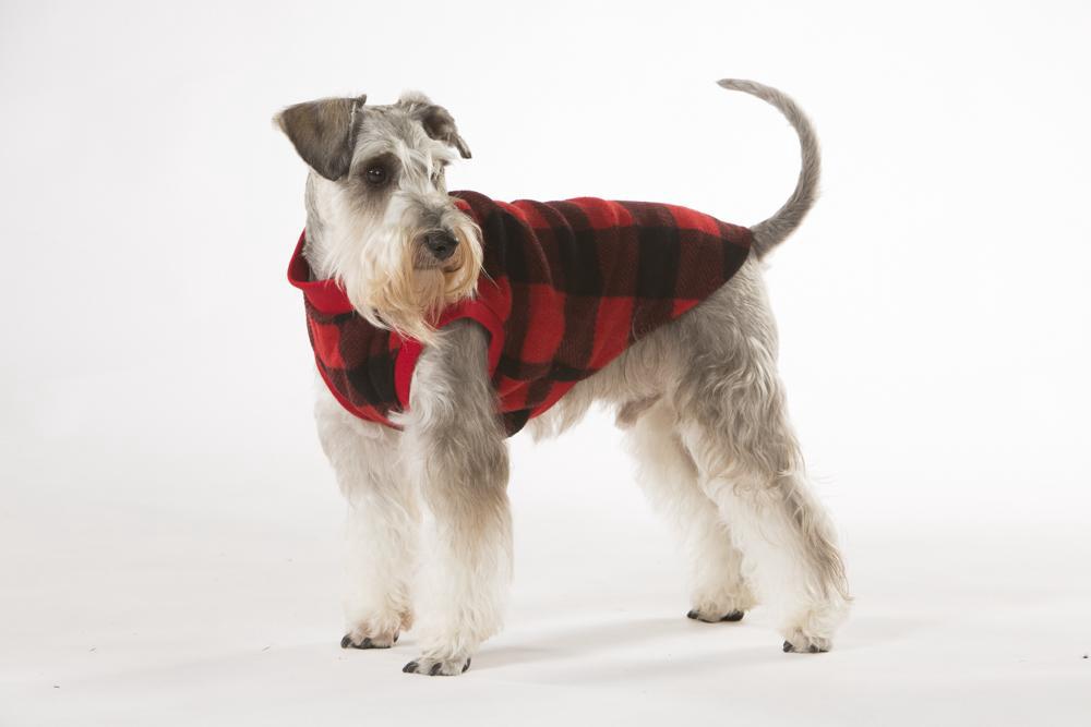 Hamish McBeth Dog Pyjamas (Red Check) 60cm Buy online at The Nile