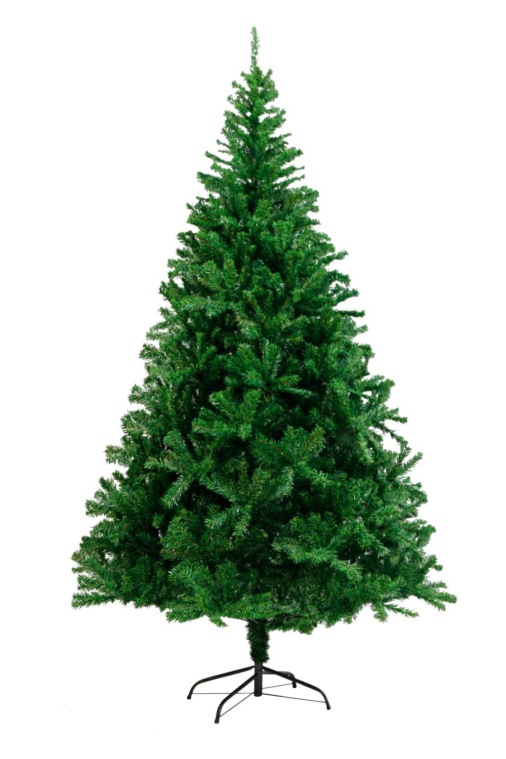 Sherwood Christmas Tree, 1448 Tips 240cm Buy online at The Nile