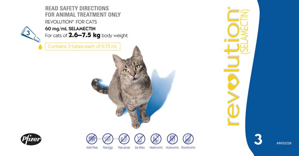 Flea & Worm Control for Cats & Kittens 2.6-7.5kg, 3's (Blue), 9347909003772