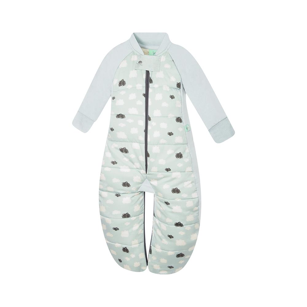 ergoPouch Sleep Suit Bag , 2.5 Tog (Mint Clouds ) 212 Months Buy