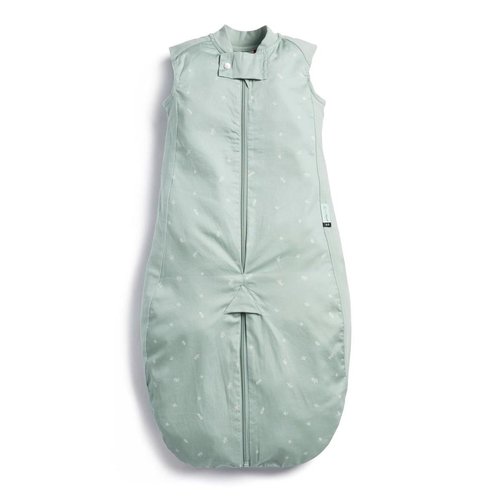 ergoPouch Sleep Suit Bag, 0.3 Tog (Sage) - 4-6 Years | Buy online at ...