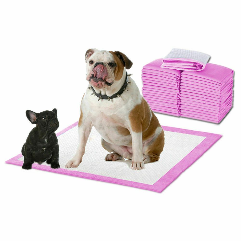 PaWz Ultra Absorbent Pet Training Pads, 400 Pieces (Pink) - 60x60cm by PaWz - ISBN: 9356877046728
