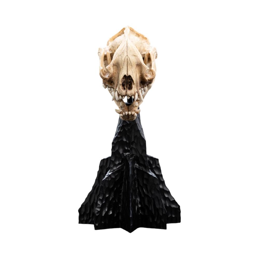 Weta The Lord of the Rings - Skull of a Warg Miniature, 9420024745984