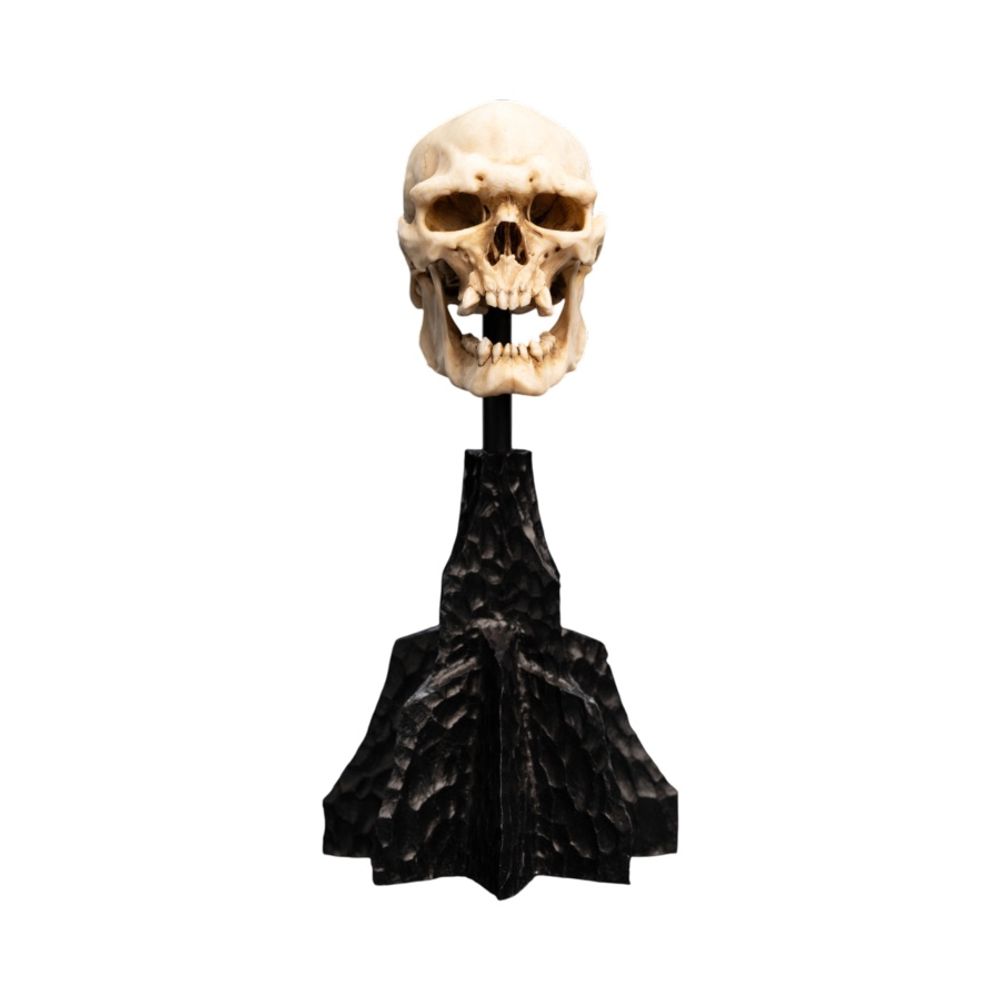 Weta The Lord of the Rings - Skull of a Mordor Orc Miniature by Weta - ISBN: 9420024745991