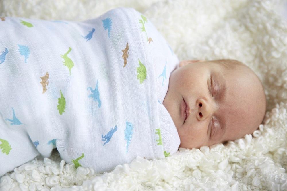 Muslin Wrap 4 Pack (Dinostar), 9421018215360