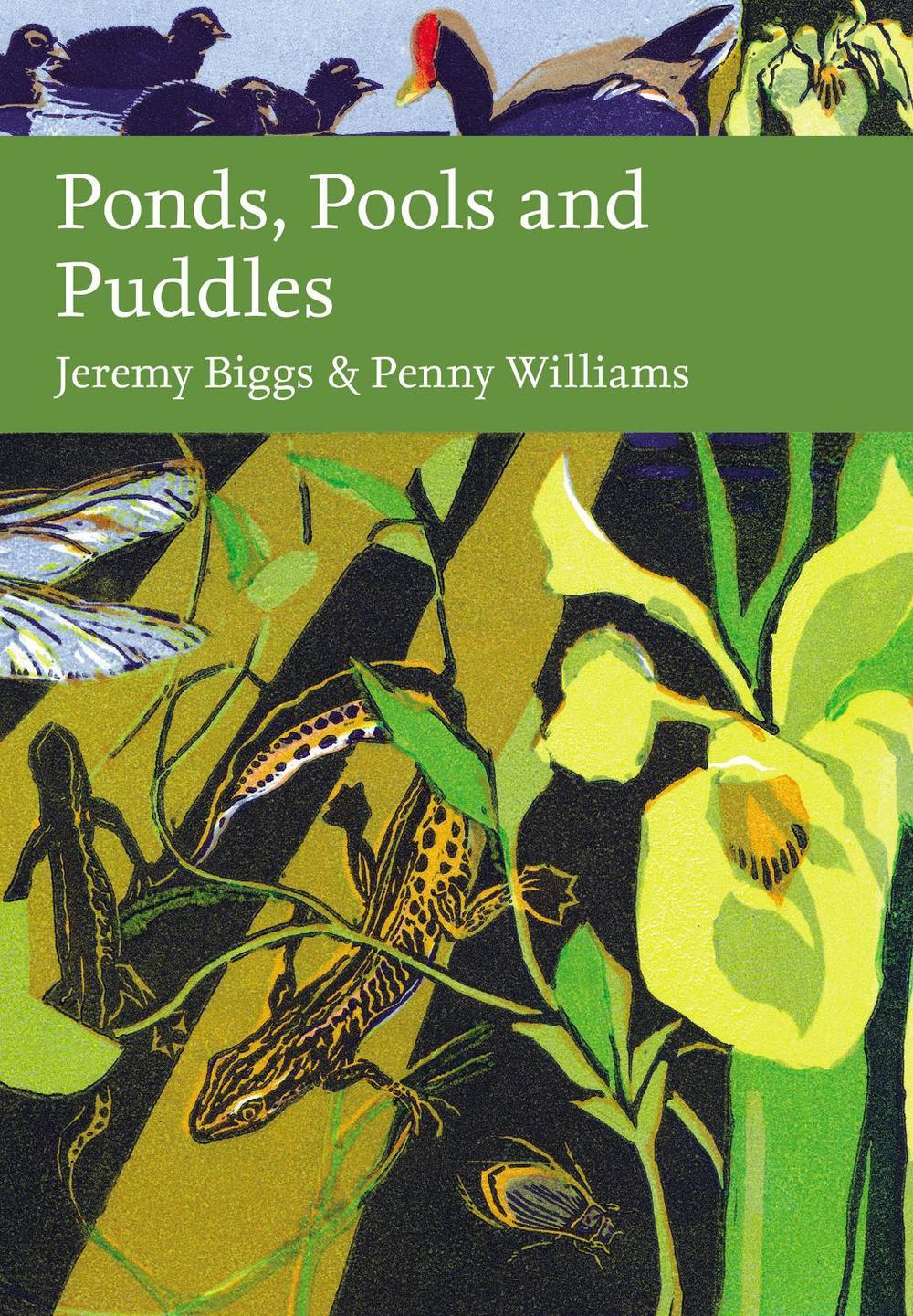 Ponds, Pools and Puddles, 9780002200851