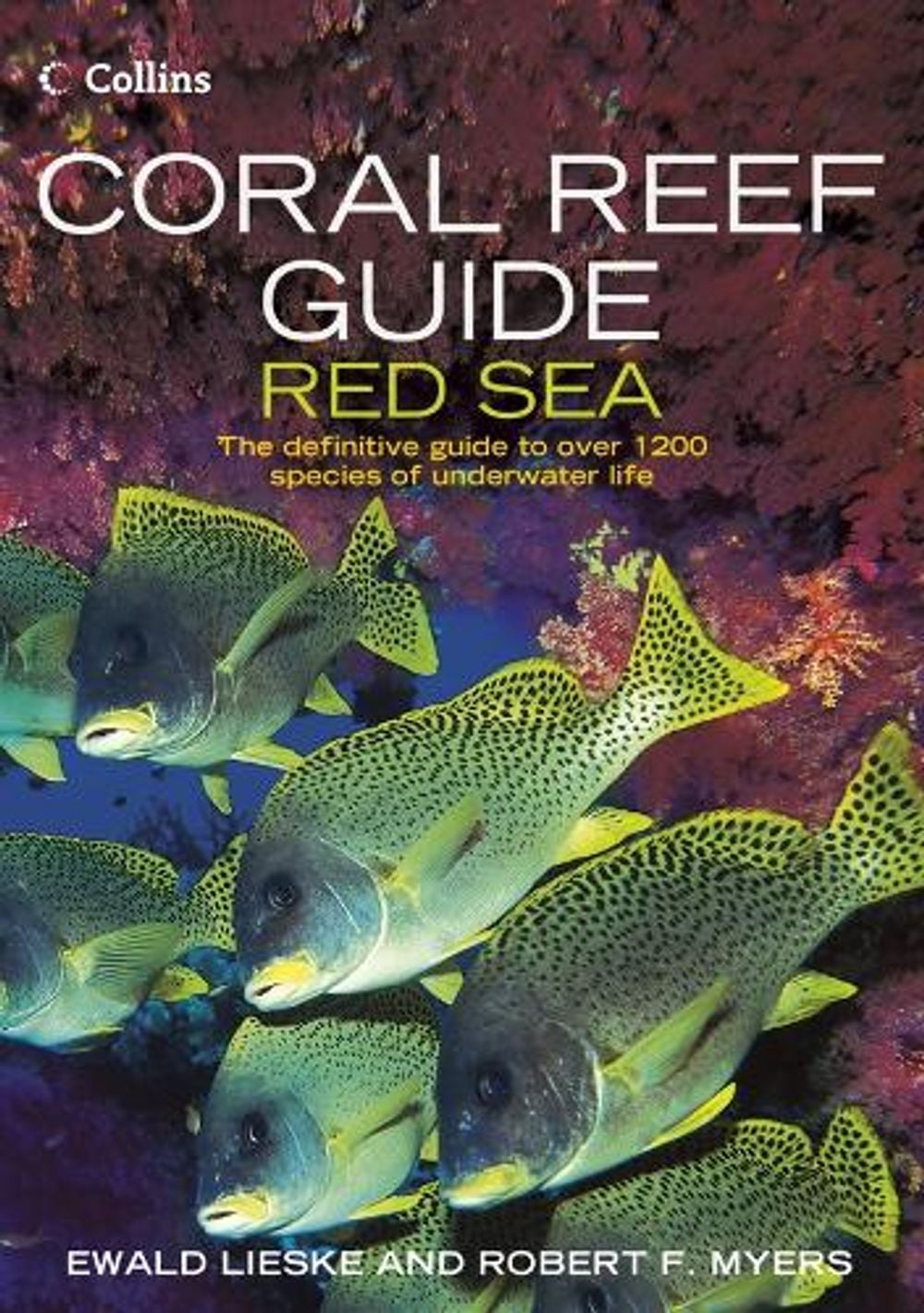 Coral Reef Guide Red Sea by Ewald Lieske - ISBN: 9780007159864