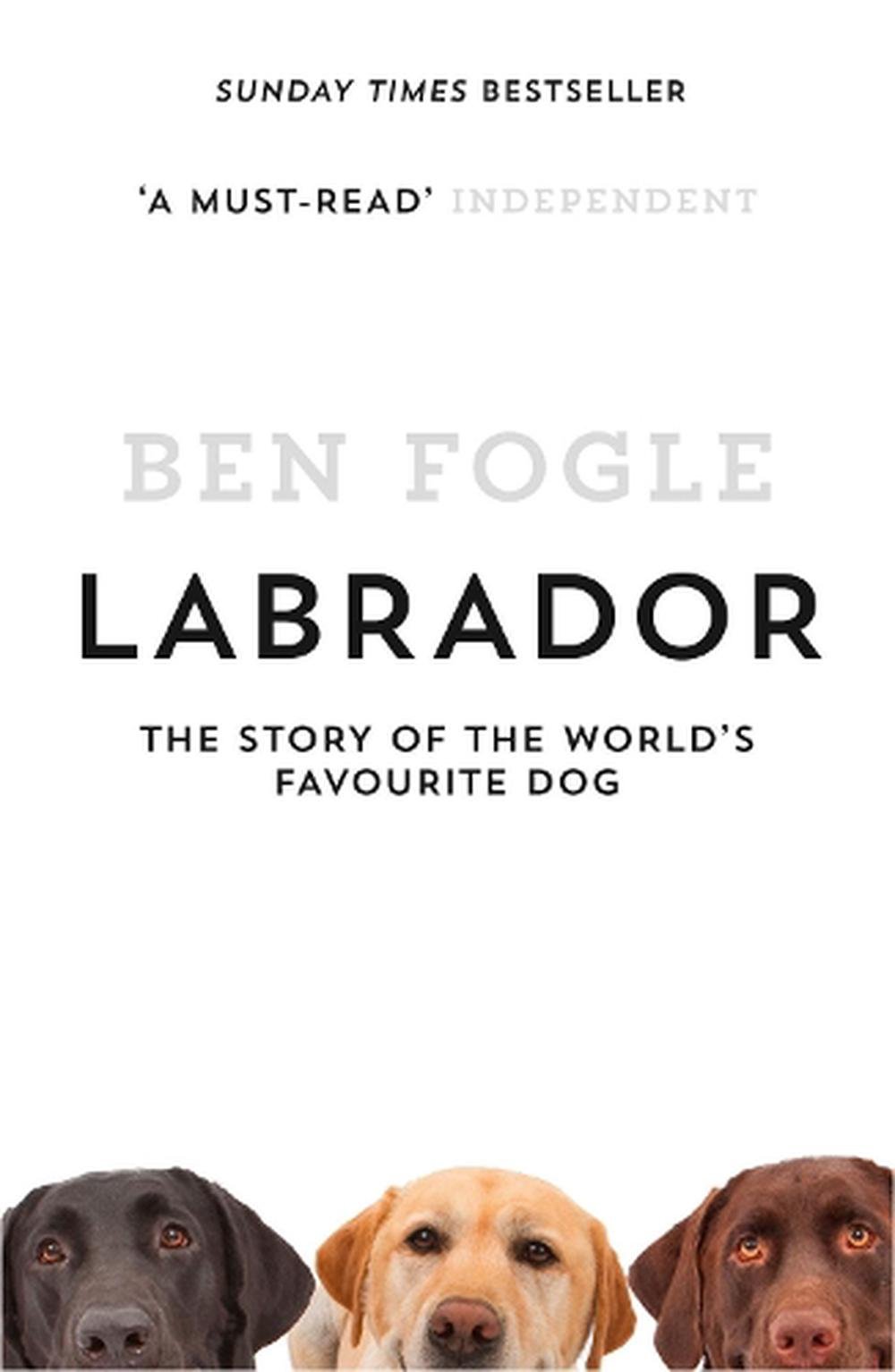 Labrador store buy online