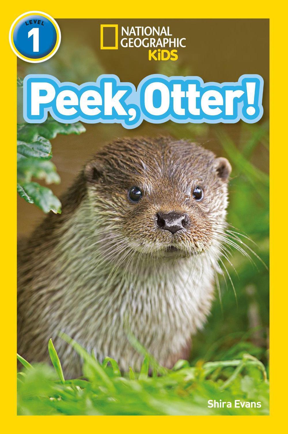 Peek, Otter!, 9780008266547
