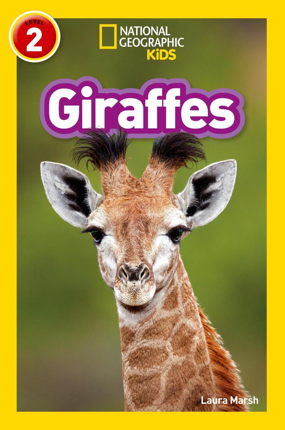 Giraffes, 9780008266639