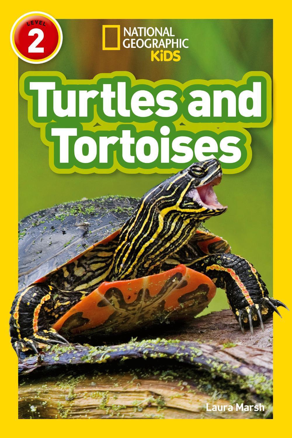 Turtles and Tortoises, 9780008266660