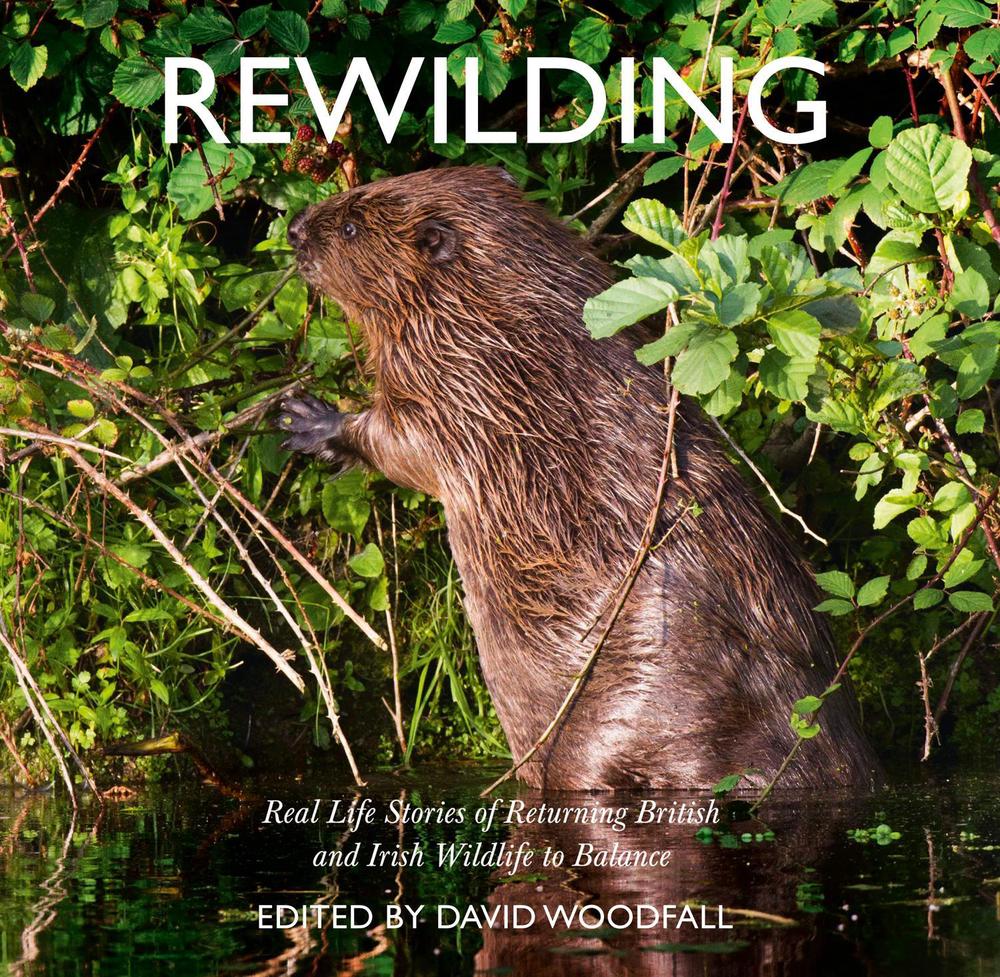 Rewilding by David Woodfall - ISBN: 9780008300470