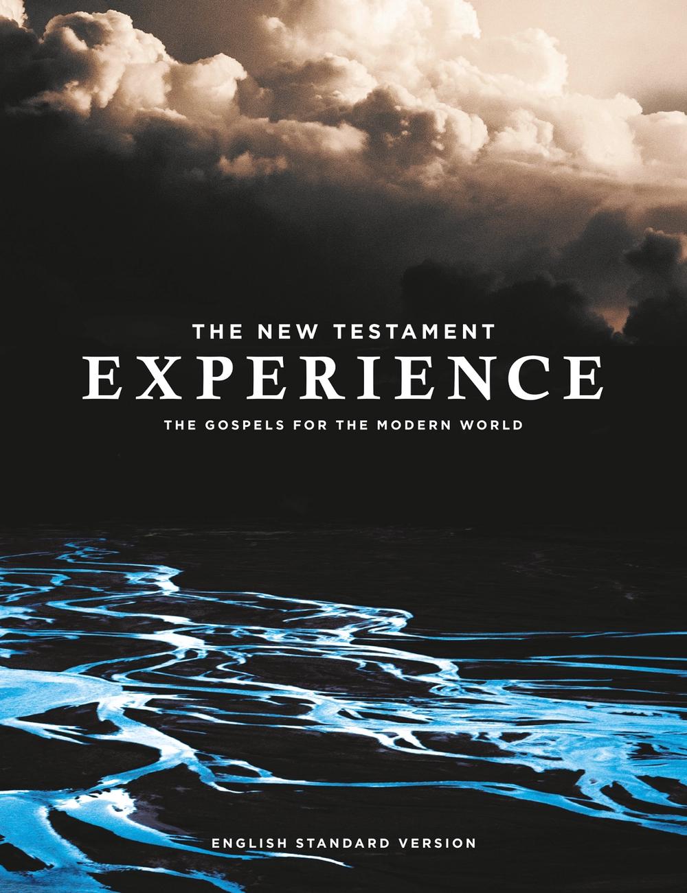 The New Testament Experience, 9780008317430