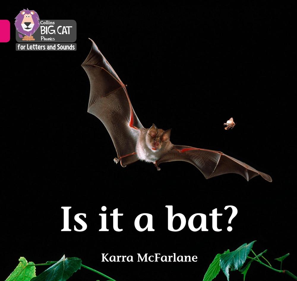 Is it a Bat?, 9780008351915