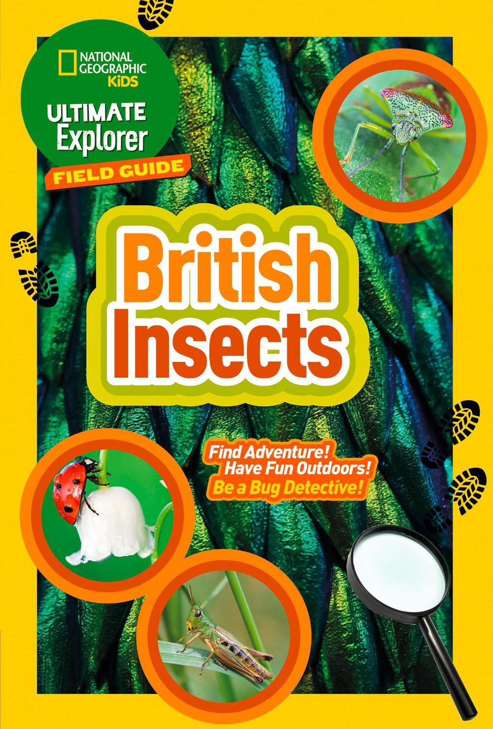 Ultimate Explorer Field Guides British Insects, 9780008374556