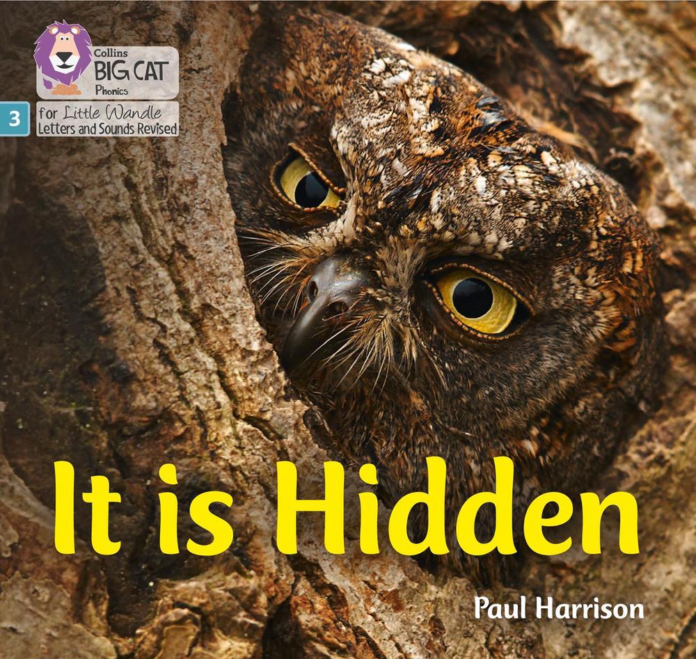 It is Hidden, 9780008502409