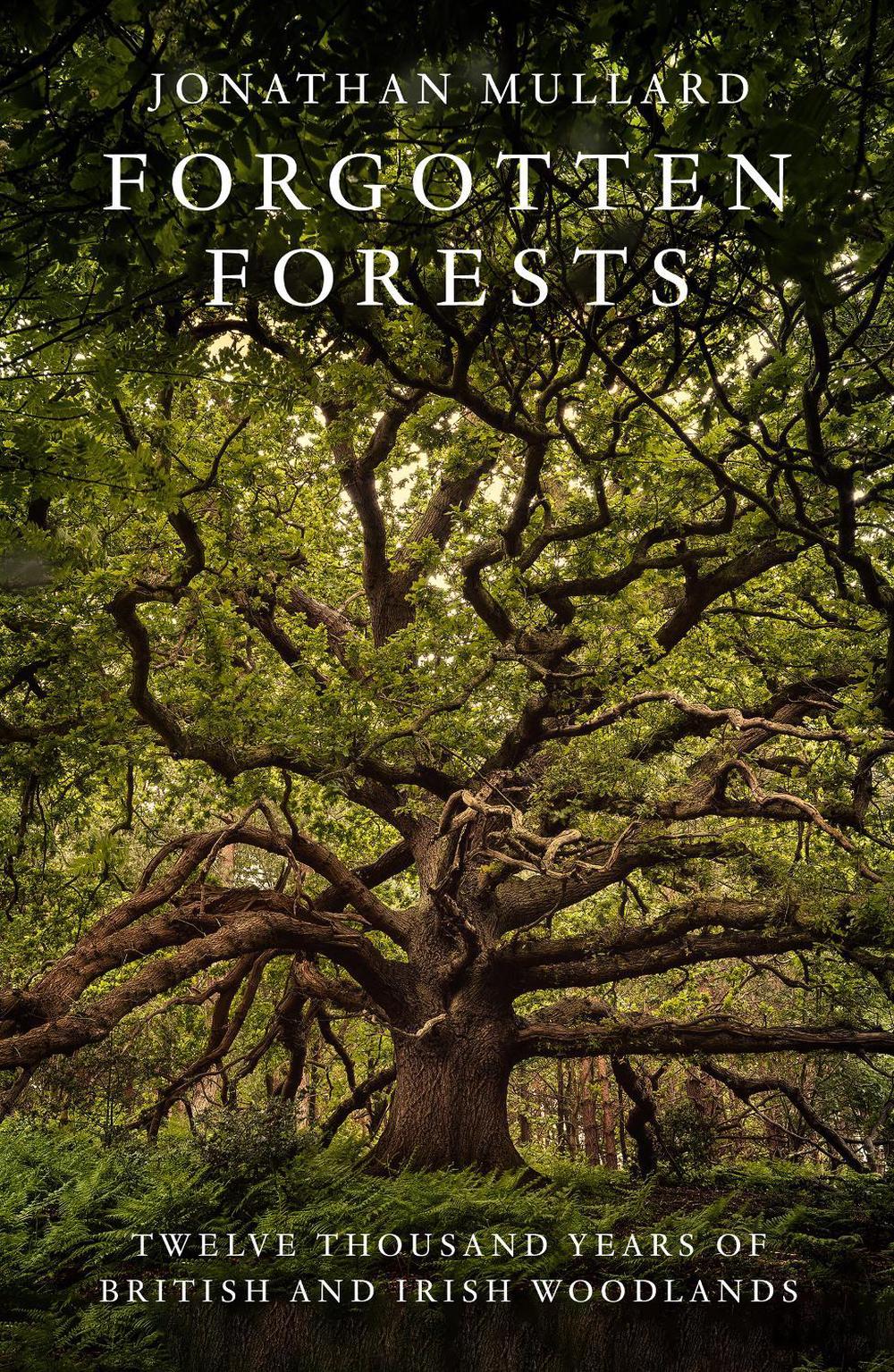 Forgotten Forests, 9780008561048