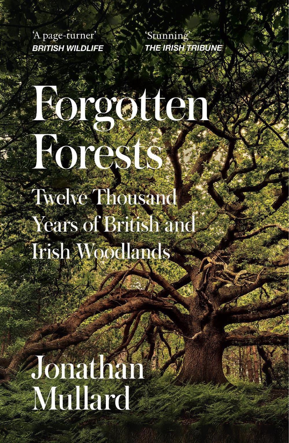 Forgotten Forests by Jonathan Mullard - ISBN: 9780008561086