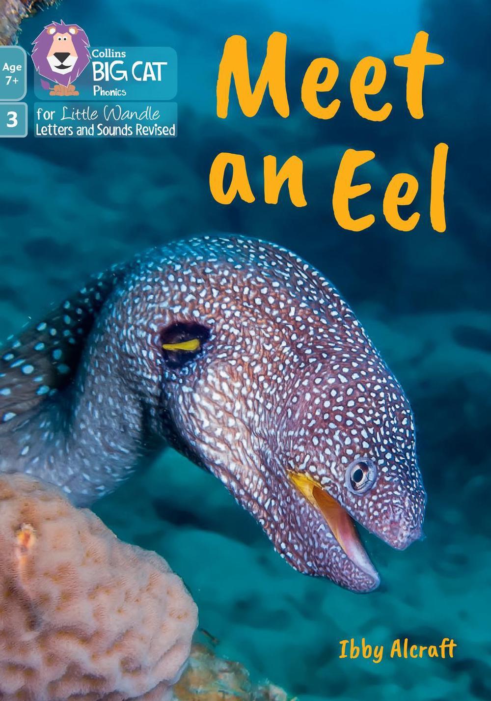 Meet an Eel, 9780008758127