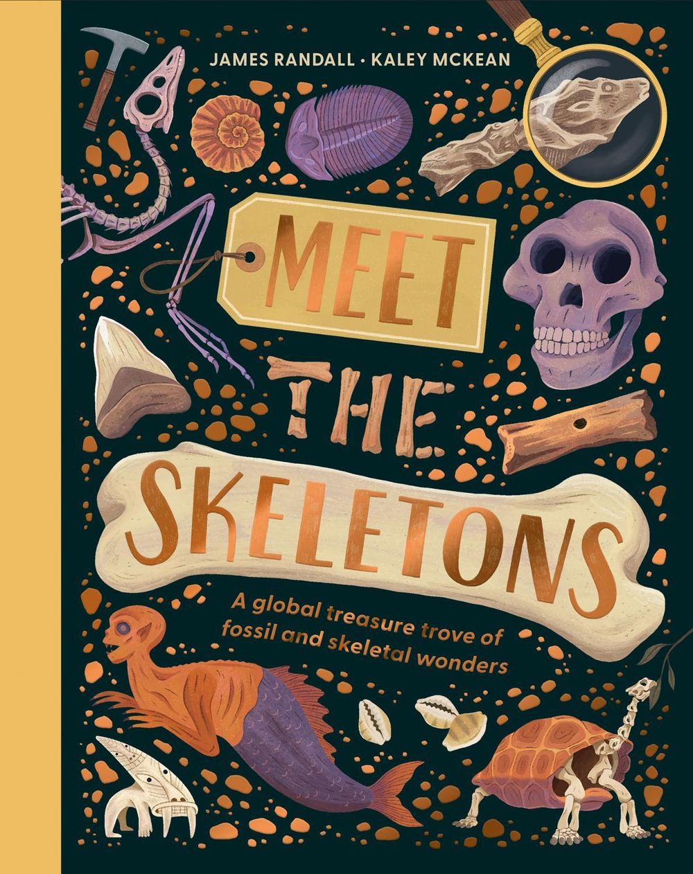 Meet the Skeletons by James Randall - ISBN: 9780008785796