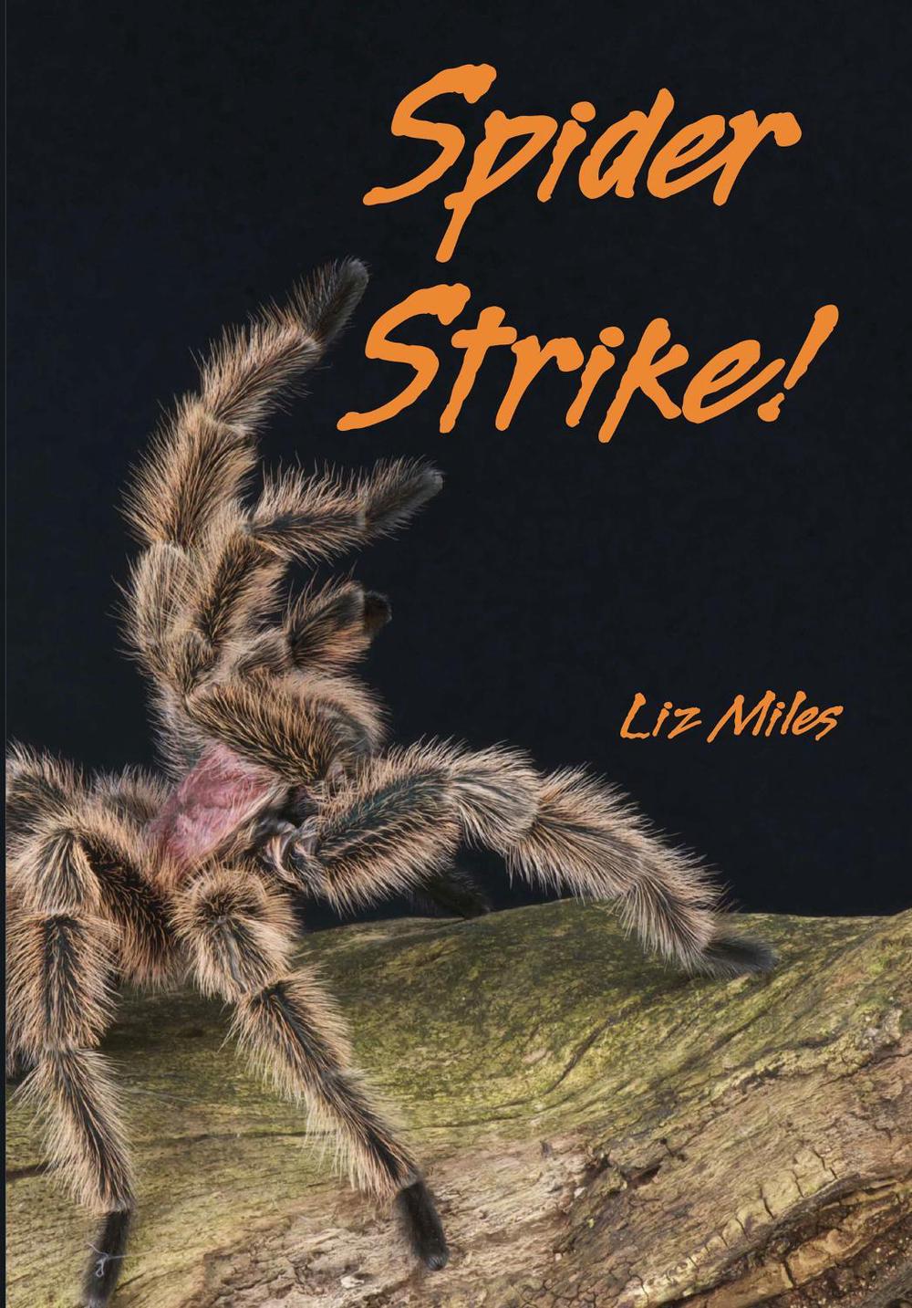 Spider Strike!, 9780008786106