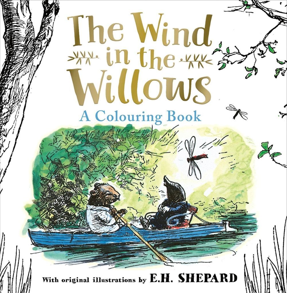 Wind in the Willows Colouring Book by Kenneth Grahame, Paperback ...