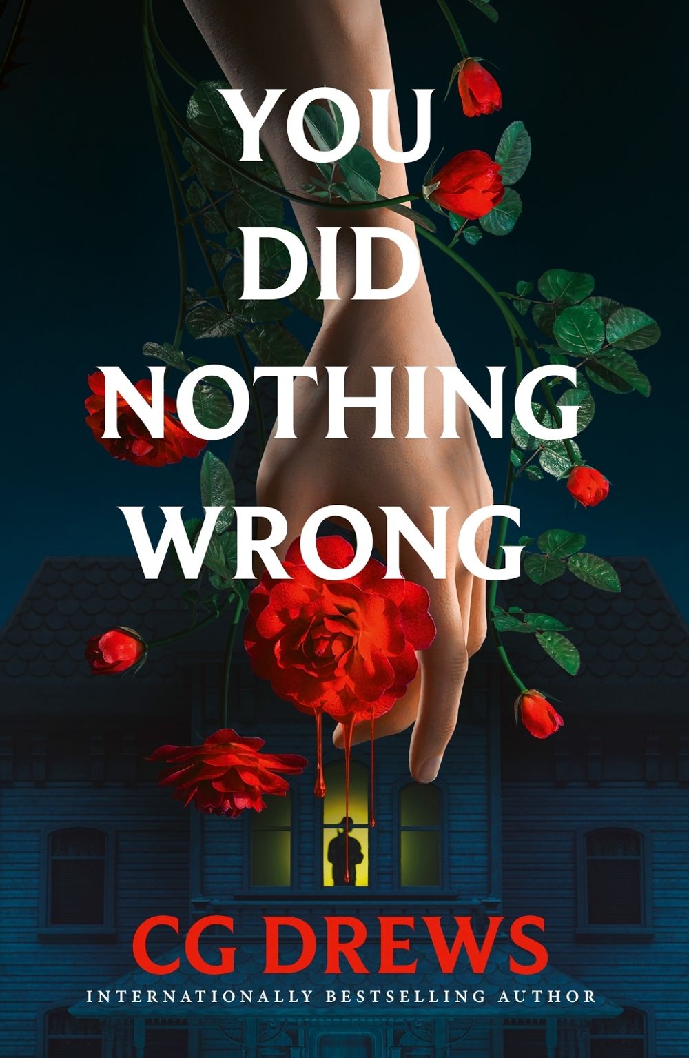 You Did Nothing Wrong by CG Drews - ISBN: 9780008842437