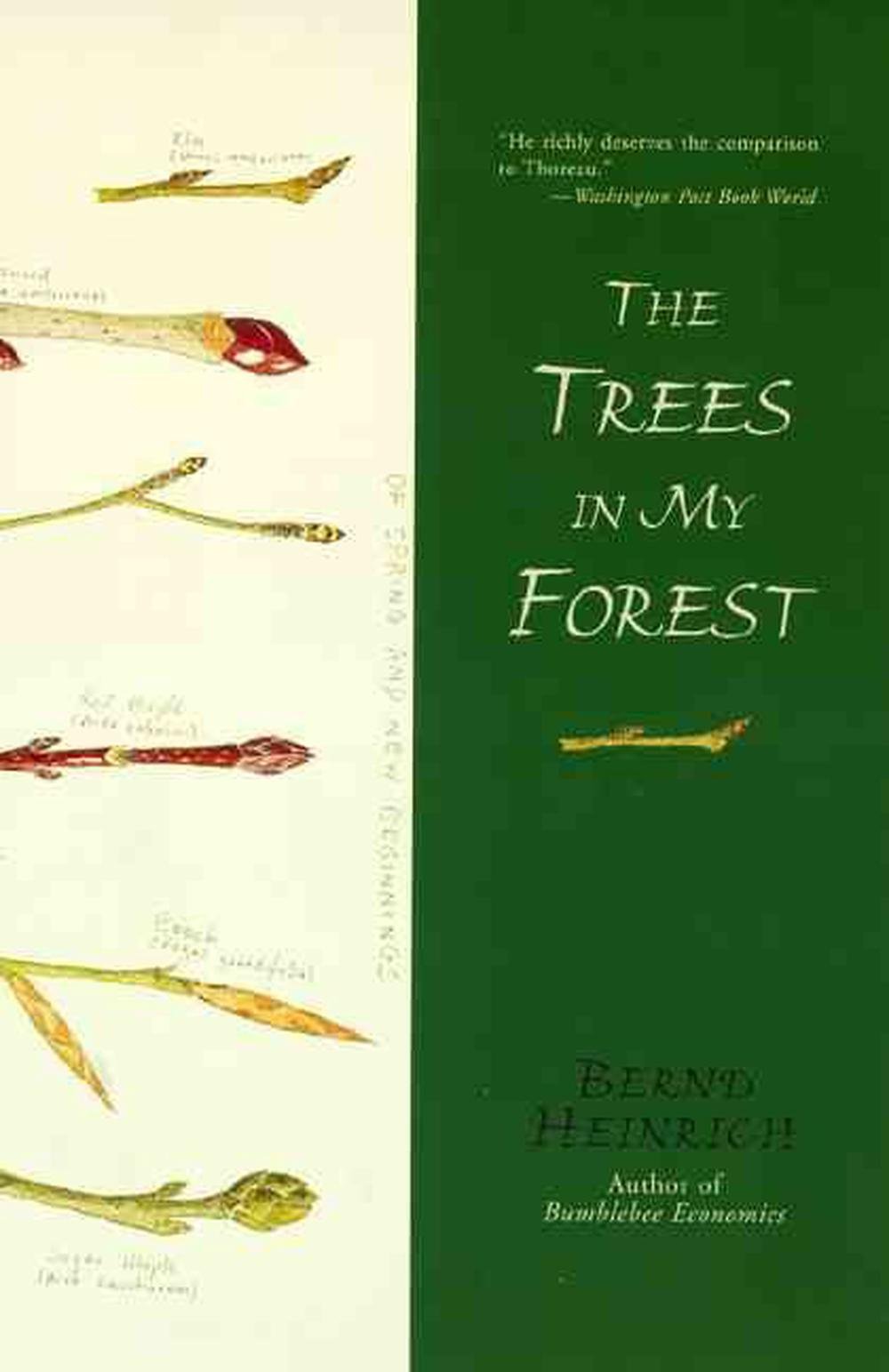 The Trees in My Forest, 9780060929428