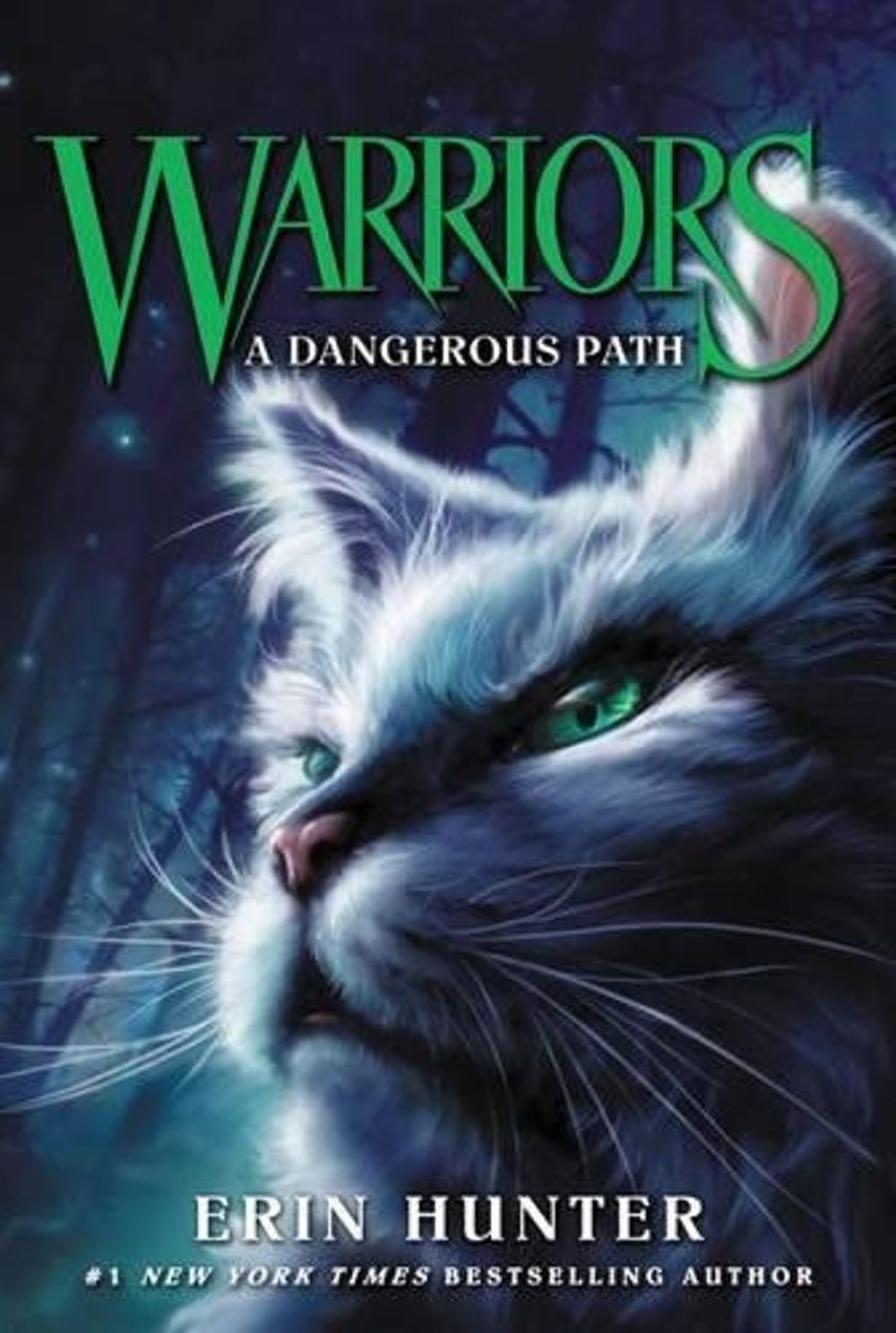 Warriors #5: A Dangerous Path by Erin Hunter - ISBN: 9780062367006