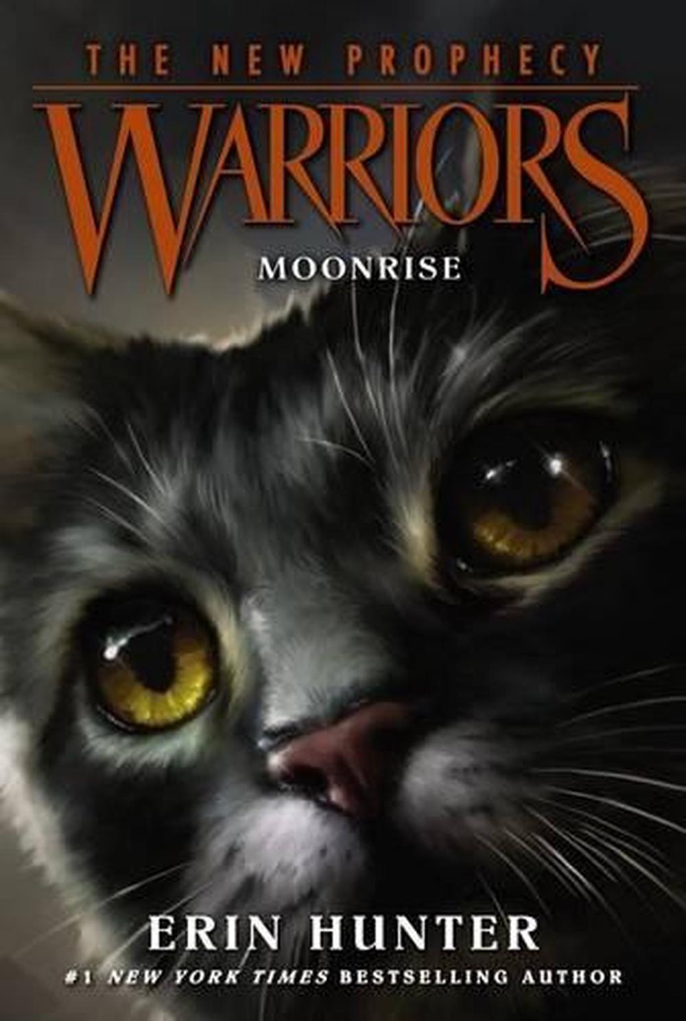 WARRIORS: The Broken Code books 2 - 3, Two additional Books By ￼Erin  Hunter. 9780062823892