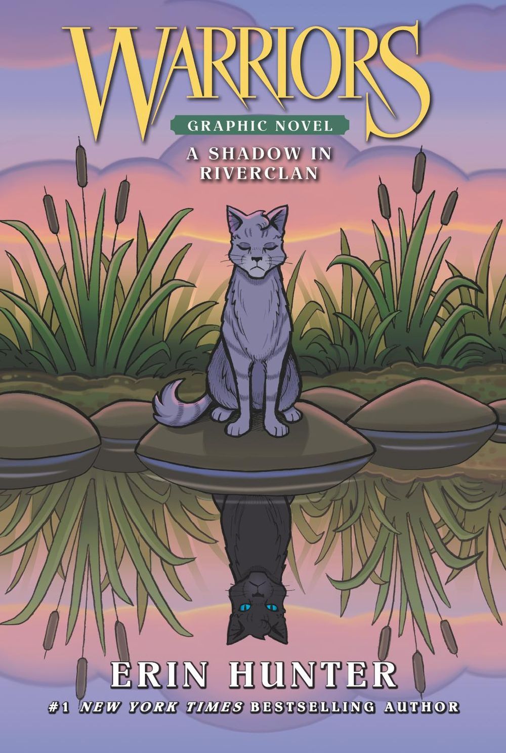 Warriors: A Shadow in RiverClan (Full-Color Adventure) by Erin Hunter - ISBN: 9780062946645